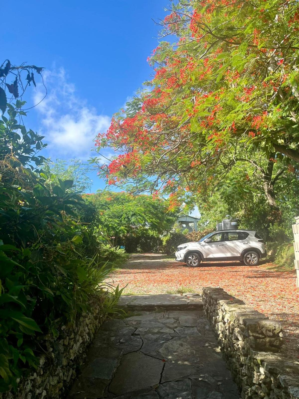 Ecolodge Tubagua Puerto Plata Exterior foto