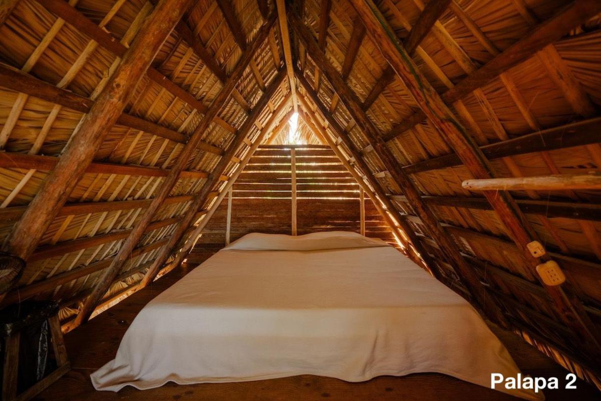 Ecolodge Tubagua Puerto Plata Exterior foto