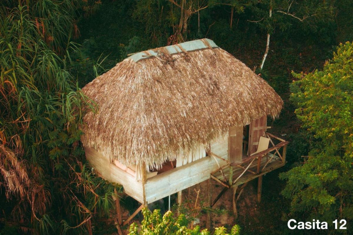 Ecolodge Tubagua Puerto Plata Exterior foto