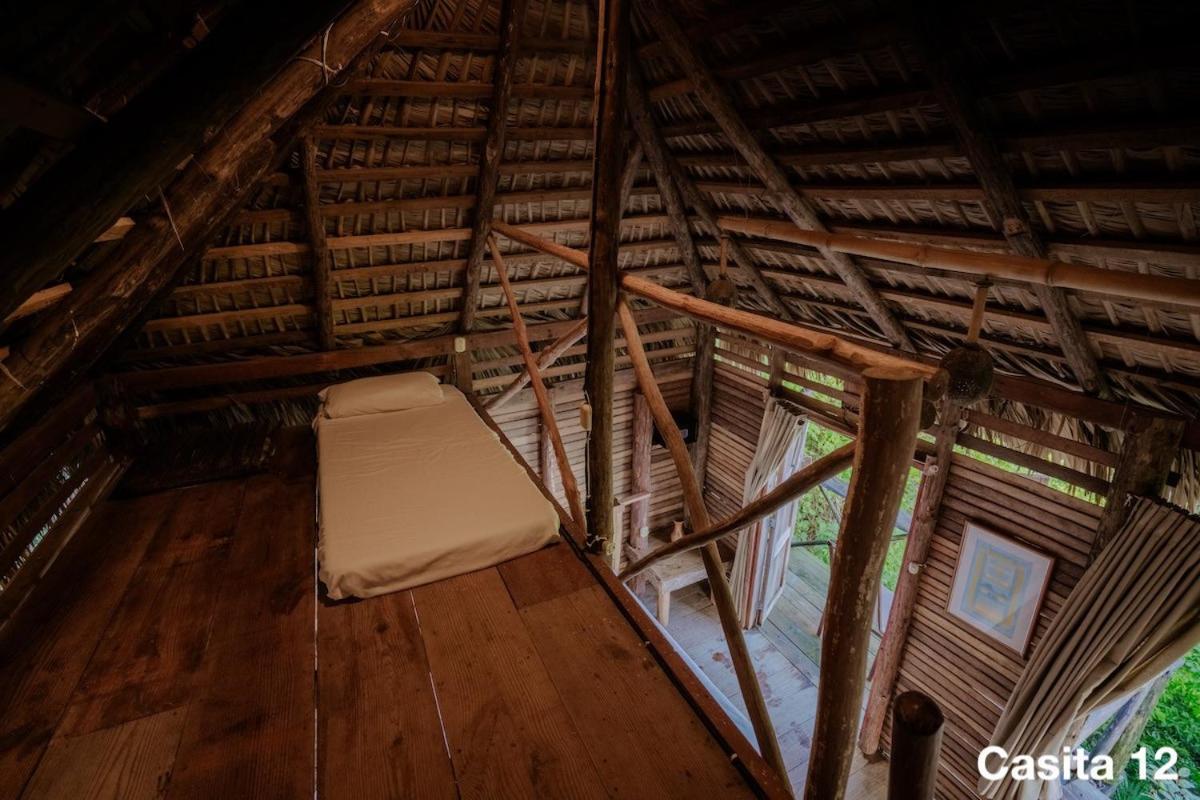 Ecolodge Tubagua Puerto Plata Exterior foto