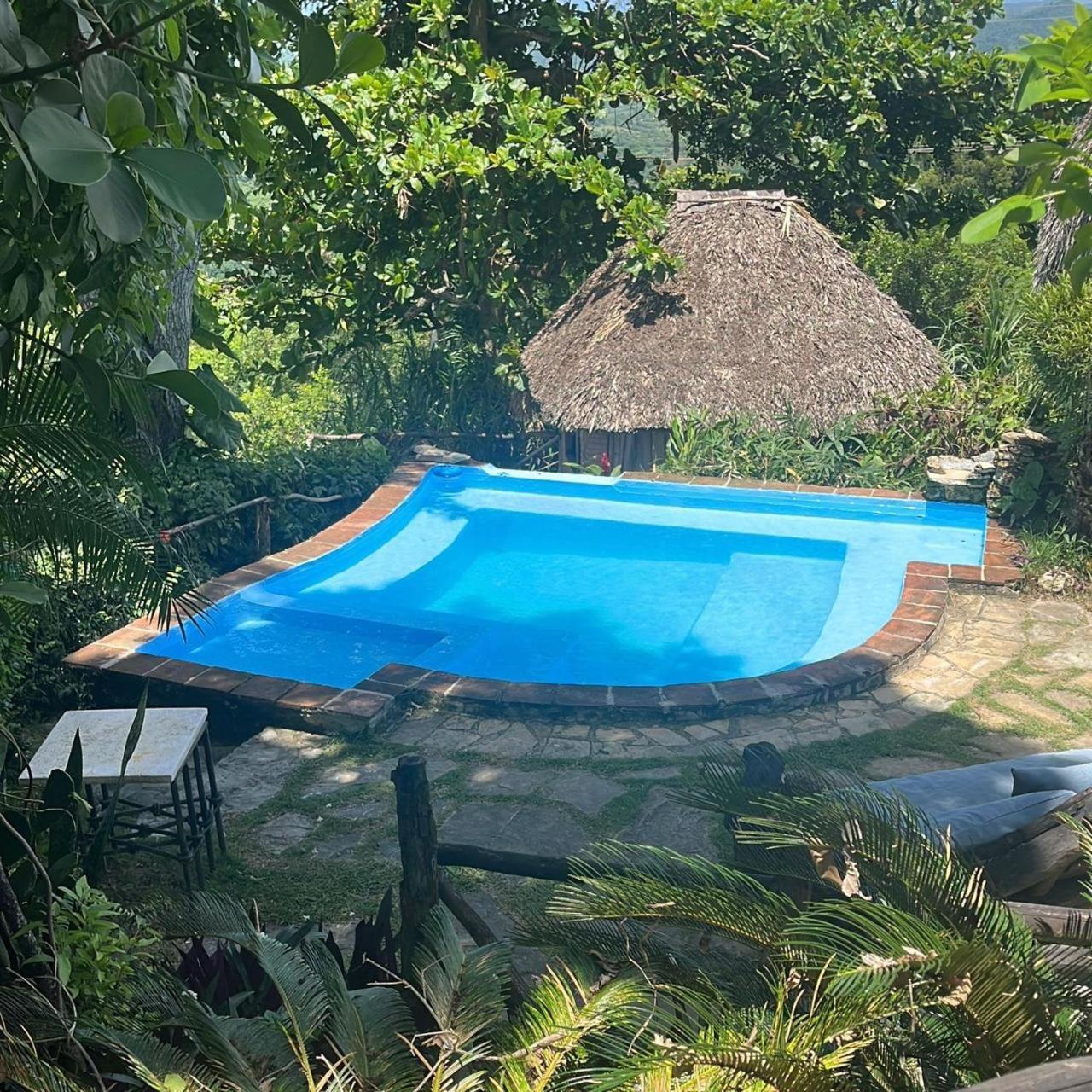 Ecolodge Tubagua Puerto Plata Exterior foto